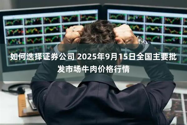 如何选择证券公司 2025年9月15日全国主要批发市场牛肉价格行情