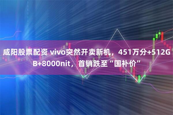 咸阳股票配资 vivo突然开卖新机，451万分+512GB+8000nit，首销跌至“国补价”